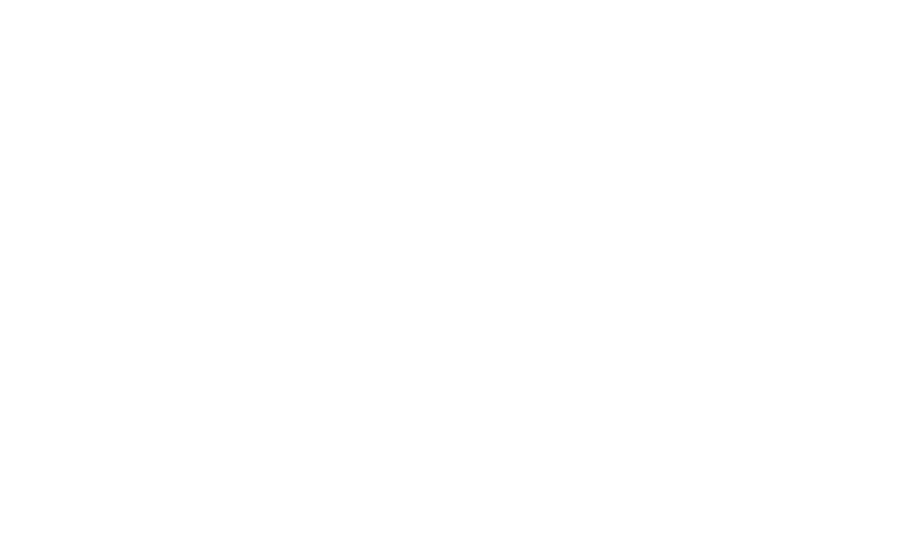 Vincent Beetz